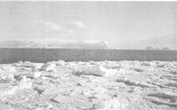 Balleny Islands in background