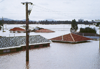 Brisbane floods