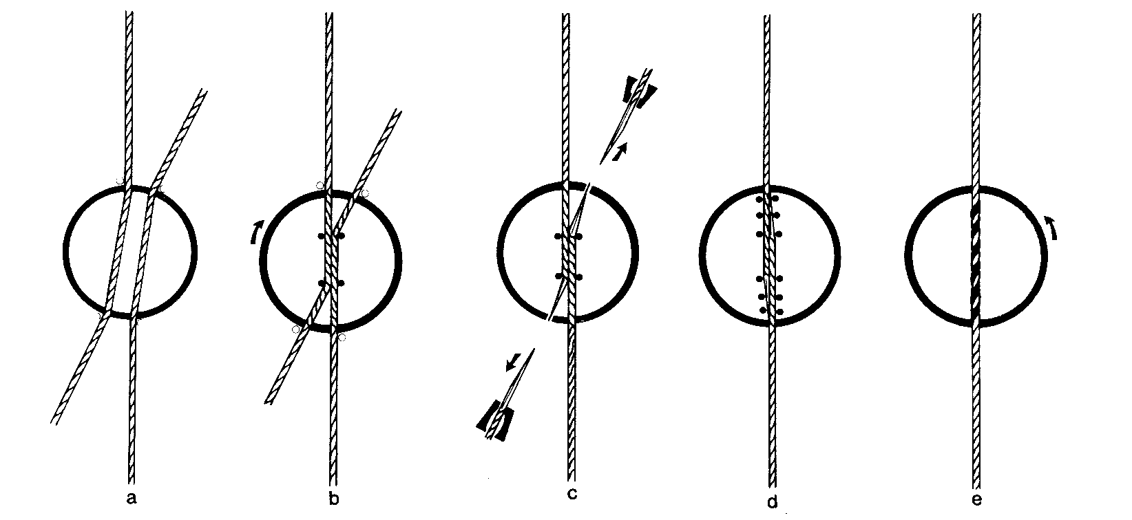 Figure 25